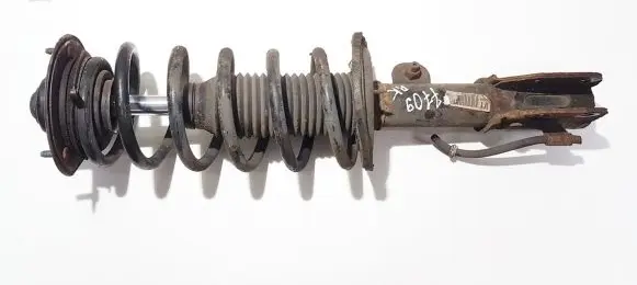 Opel Antara Front shock absorber/damper 96809737