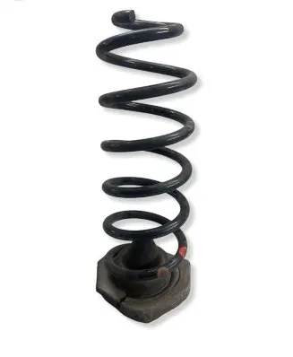 Renault Kadjar Rear coil spring 550324EA0A
