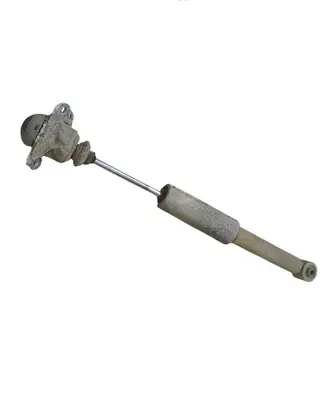 Rear shock absorber/damper
