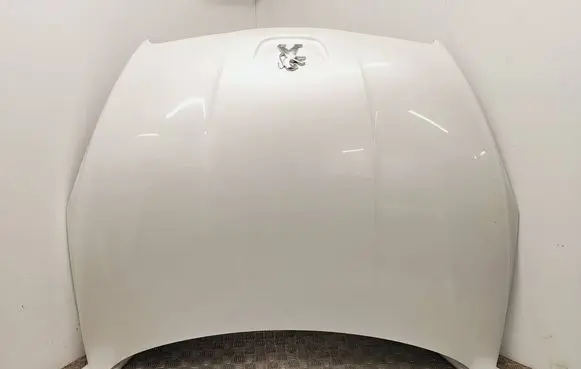Peugeot 508 RXH Engine bonnet/hood