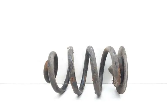 Rear coil spring