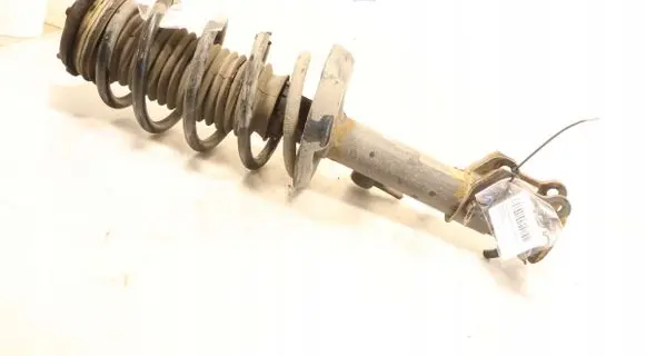 Fiat Doblo Front shock absorber with coil spring