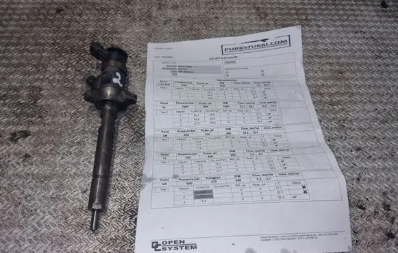 Citroen Berlingo Fuel injector 0445110297