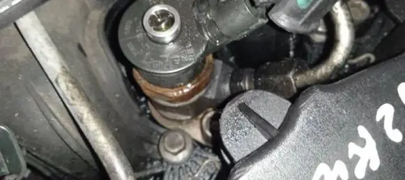 Citroen C5 Fuel injector 0445110297