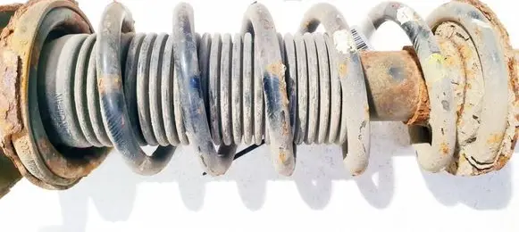 Rear coil spring