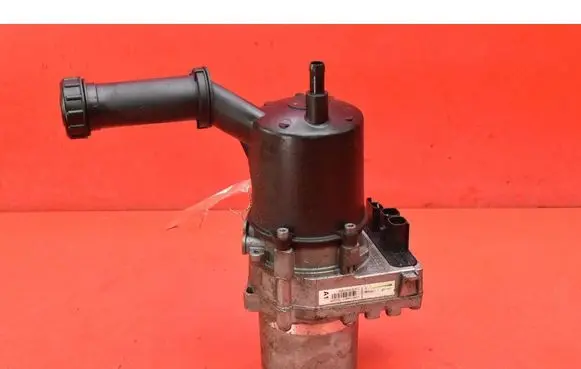 Citroen C4 II Picasso Power steering pump 9803319180