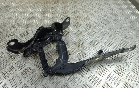 KIA Stinger Engine bonnet/hood hinges 