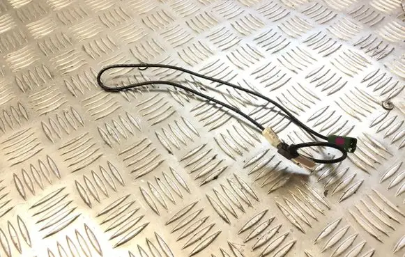 Tesla Model S Bluetooth antenna 106239300B