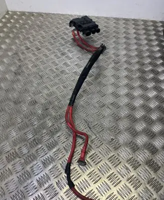 Renault Trafic III (X82) Positive wiring loom 243501820R 17200114