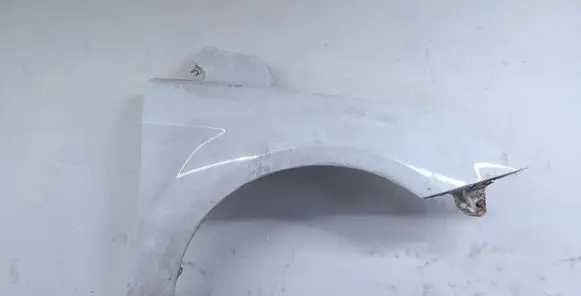 Ford Focus Fender