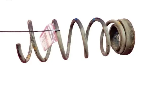 Rear coil spring