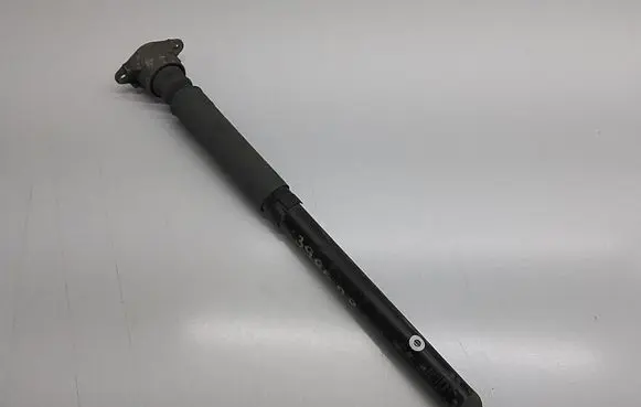 Ford Transit - Tourneo Connect Rear shock absorber/damper EY1618080DB