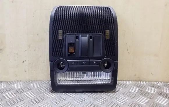 BMW X5 E70 Front seat light 61319173769 9173769