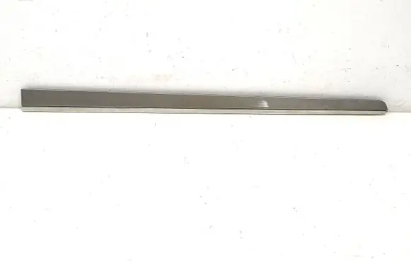 Mercedes-Benz GL X164 Front door trim (molding) A1646905462