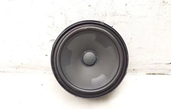 Volkswagen Tiguan Rear door speaker 5NA035453