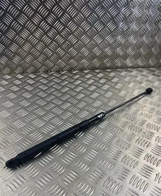 Tailgate strut