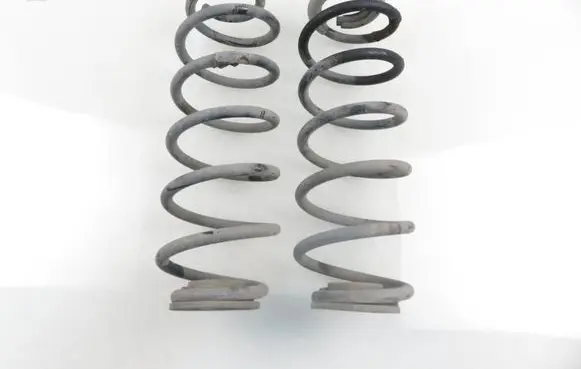 Rear coil spring
