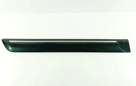 Rear door trim (molding)