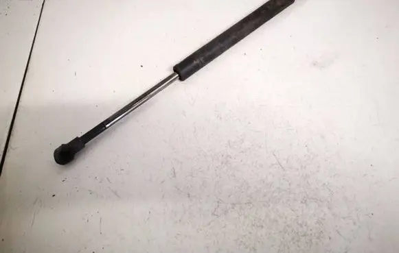 Tailgate/trunk strut/damper