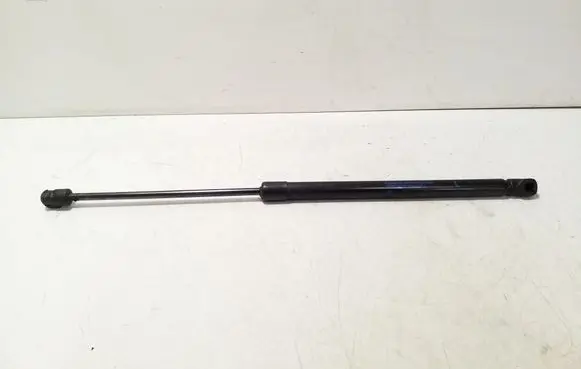 Tailgate/trunk strut/damper