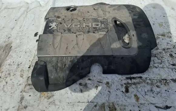 Peugeot 607 Engine cover (trim) F09300449000 965231878000