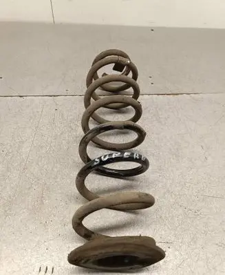 Rear coil spring