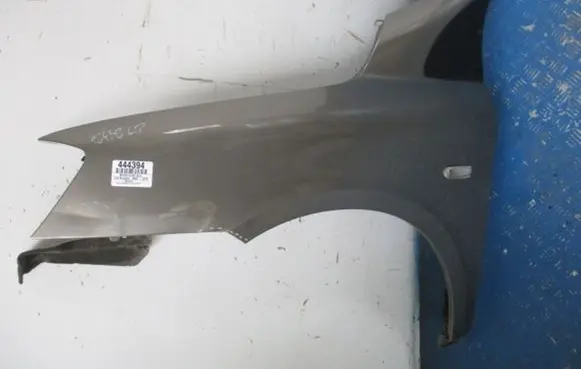 Fiat Multipla Fender