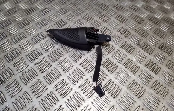 Front door high frequency speaker