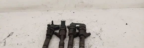 Renault Scenic I Fuel injectors set 8200100272