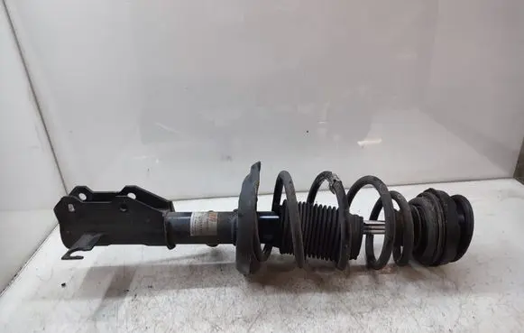 Opel Insignia A Front shock absorber with coil spring