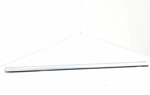 Citroen DS4 Front door glass trim molding