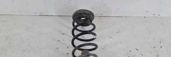 Opel Signum Rear coil spring
