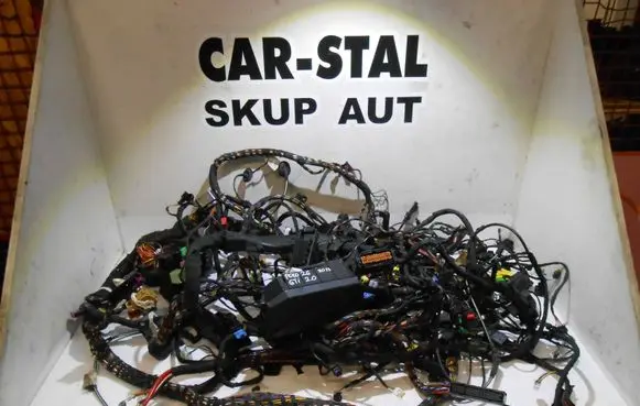 Volkswagen Polo VI Wiring harness 2G1971051 2G2971051