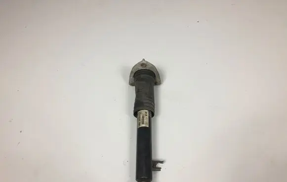 BMW X5 E70 Rear shock absorber/damper 6781931