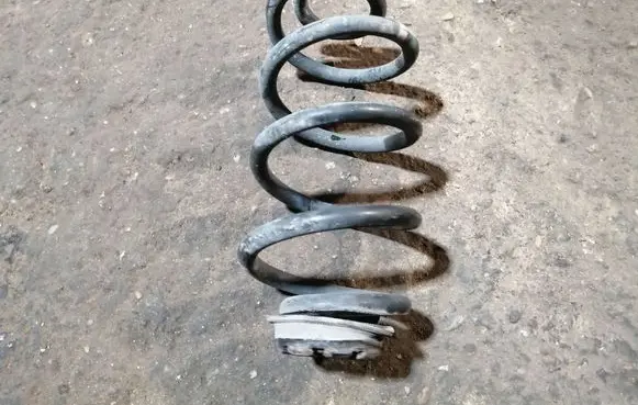Rear coil spring
