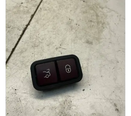 Tailgate opening switch