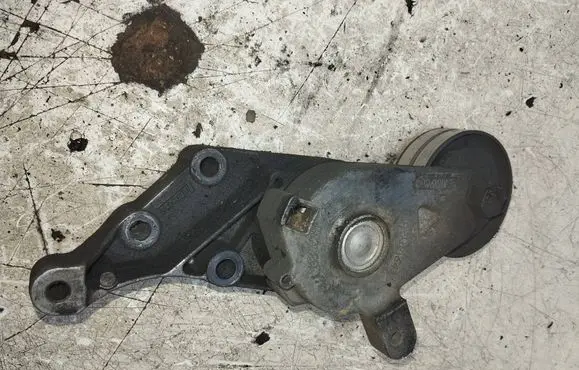 Volkswagen Golf IV Generator/alternator belt tensioner 950464