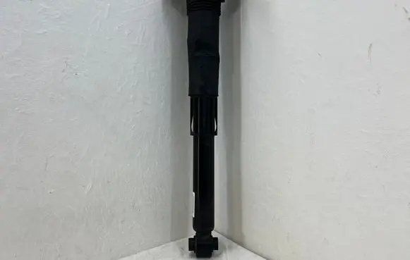Cupra Born Rear shock absorber/damper 1EA512011AL