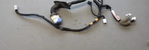 Front door wiring loom