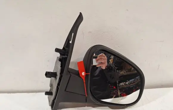 Renault Kangoo III Front door electric wing mirror