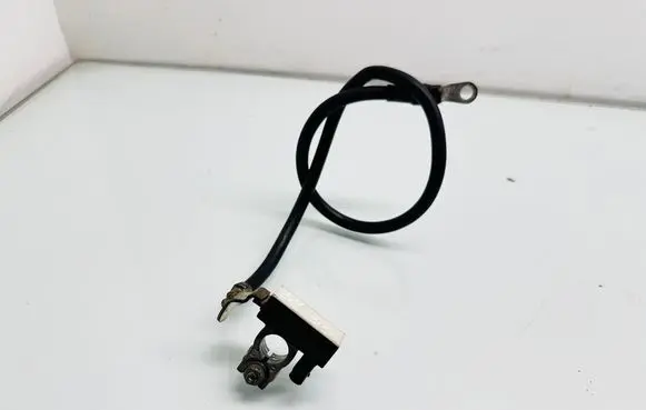 Mercedes-Benz B W246 W242 Negative earth cable (battery) A1665420018 ZGS004 6A015SL6