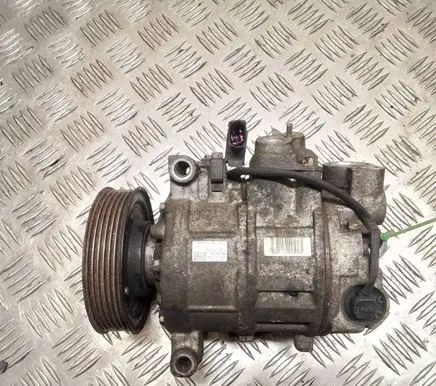 Volkswagen PASSAT B5.5 Air conditioning (A/C) compressor (pump) 6SEU12C