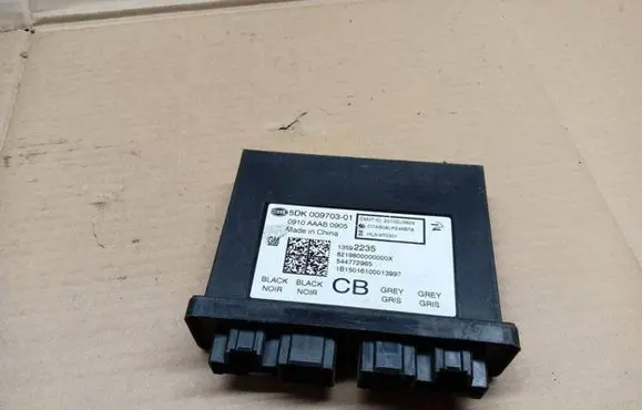 Opel Insignia A Other control units/modules 13592235 5DK00970301 8219800000000X