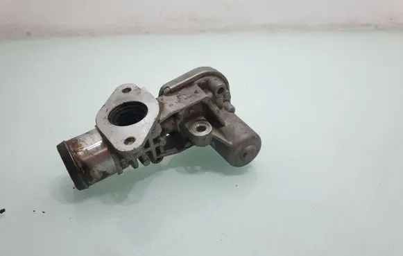 Dodge Durango III EGR valve