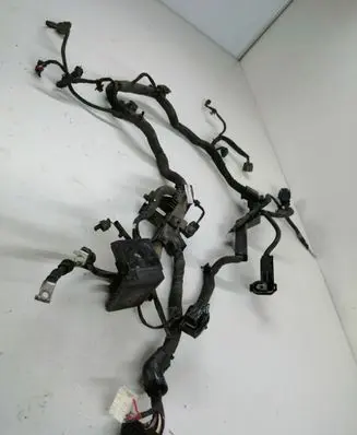 Hyundai Kona I Positive wiring loom 91660K4030