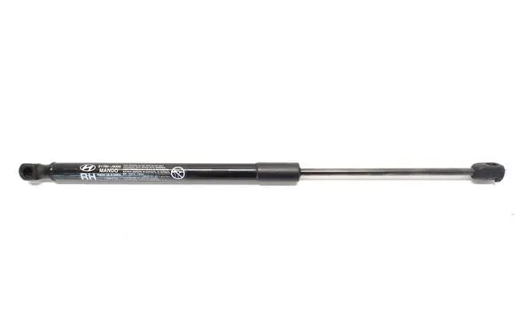 Tailgate strut