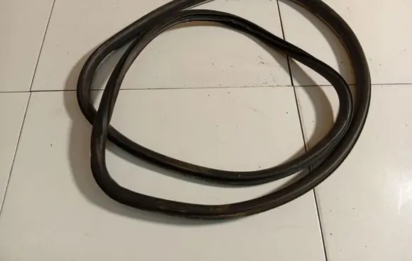 Renault Laguna III Rubber seal front coupe door 