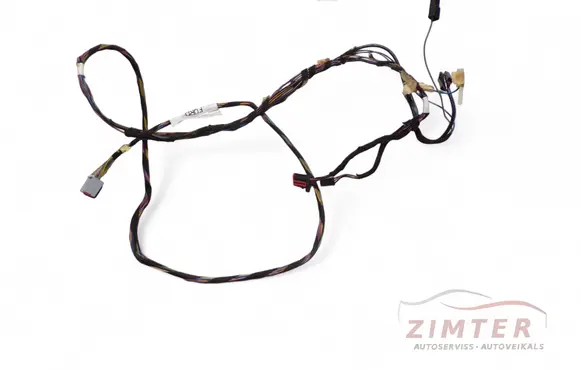 Other wiring loom