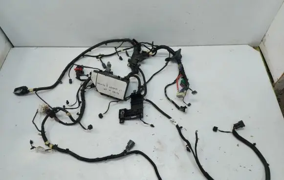Engine installation wiring loom