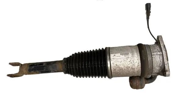 Bentley Continental Rear shock absorber/damper 3W0616001B